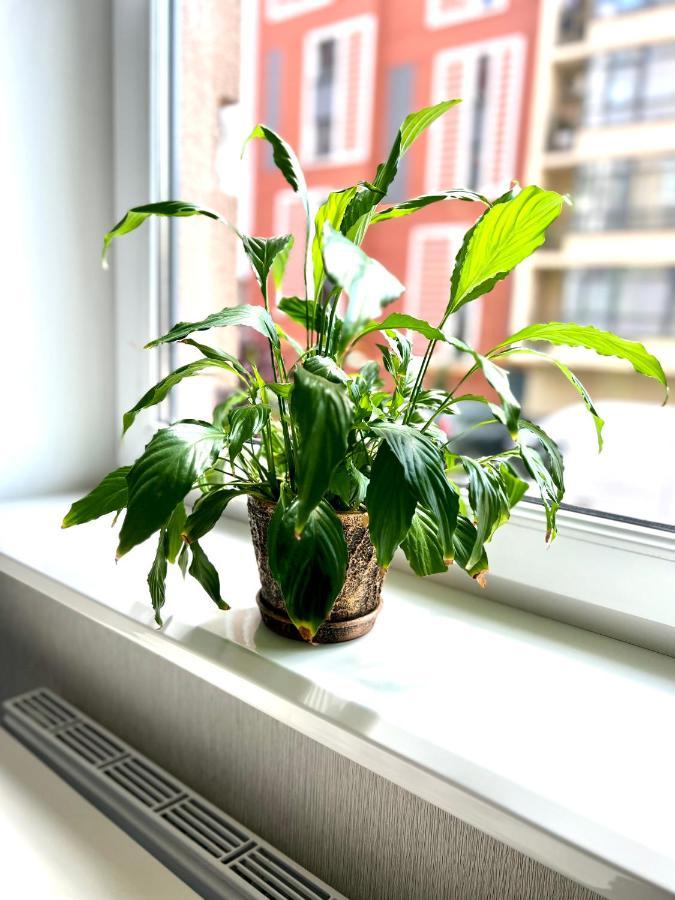 Apartment Osapart Vip In A Complex Semycvit *