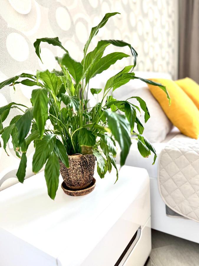Osapart Vip In A Complex Semycvit Apartment *